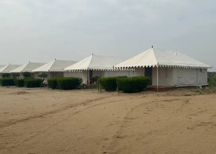 Sunny Desert Camp