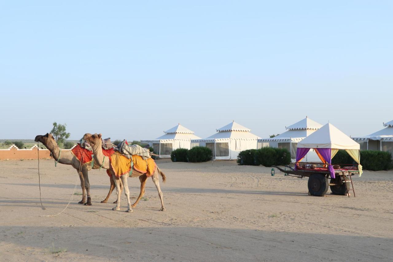 Sunny Desert Camp 3*