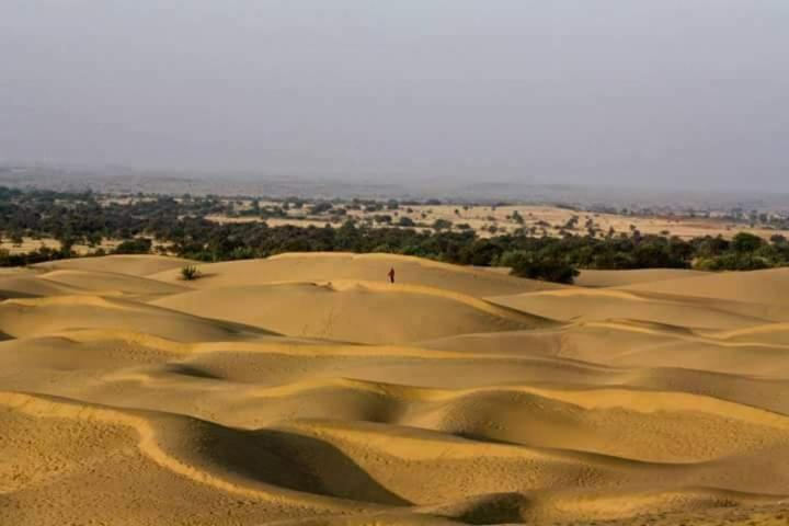 Campsite Sunny Desert Camp Kuri