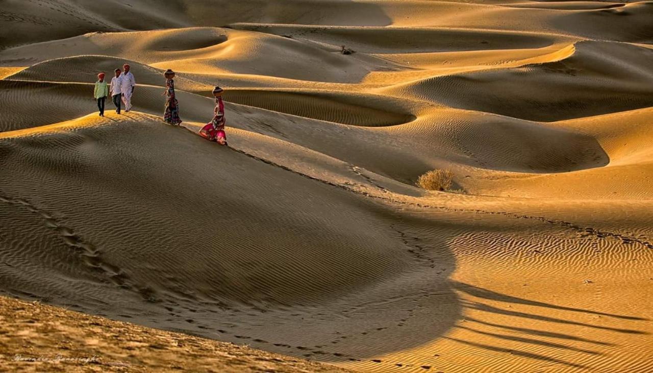 Sunny Desert Camp