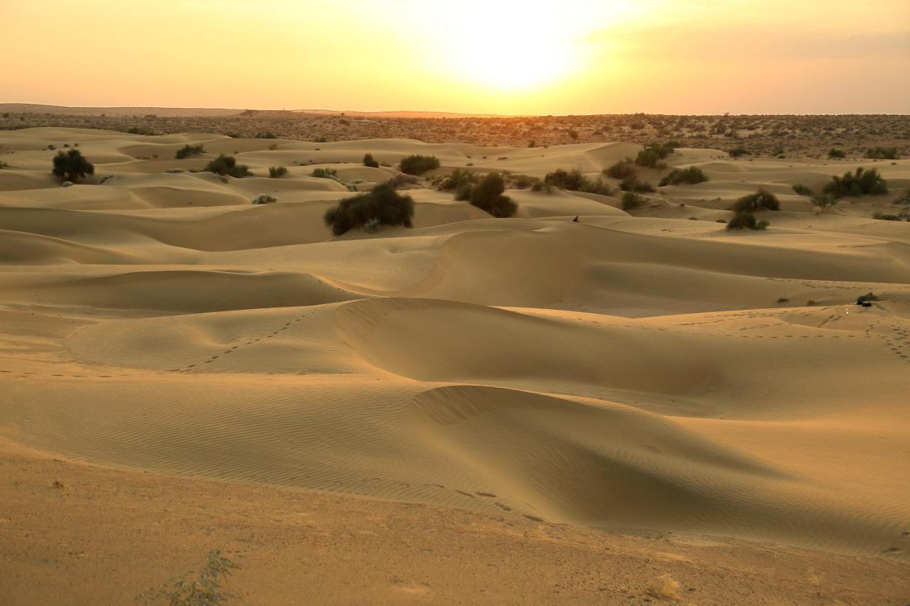 Sunny Desert Camp 3*